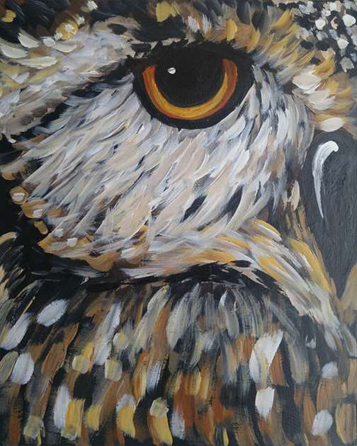 Hooty Patooty