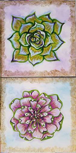 Shimmering Succulents 