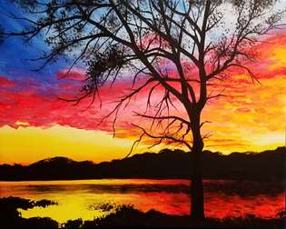 Spectacular Nightfall 