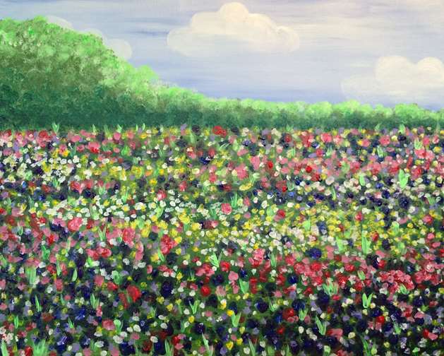Wildflower Field