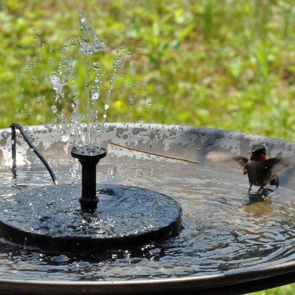 Smartgarden - Solar Powered Bird Bath Fountain Kit