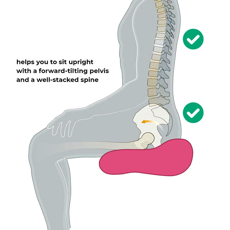 Backjoy Posture Correcting Pelvic Support Seat, Regular size, Pelvic Correction, Stoops, Lower Back Pain