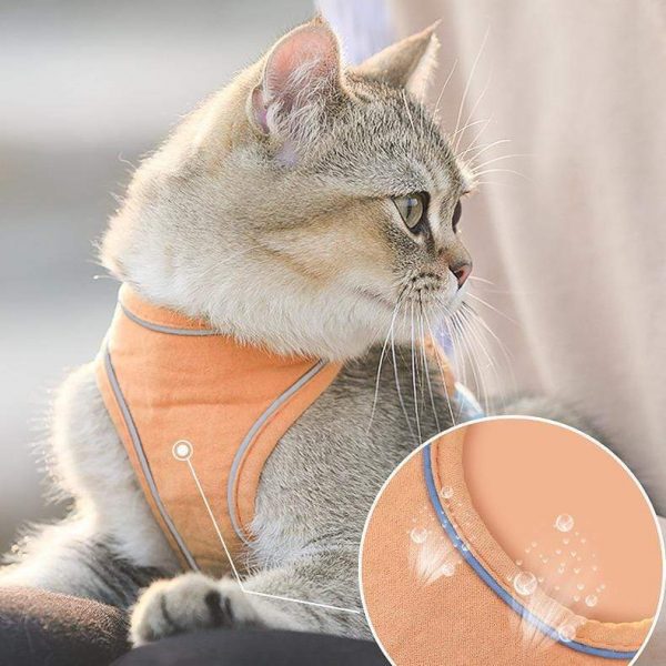 Luminous, Escape Proof Cat Vest Harness And Leash Set
