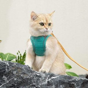 Luminous, Escape Proof Cat Vest Harness And Leash Set