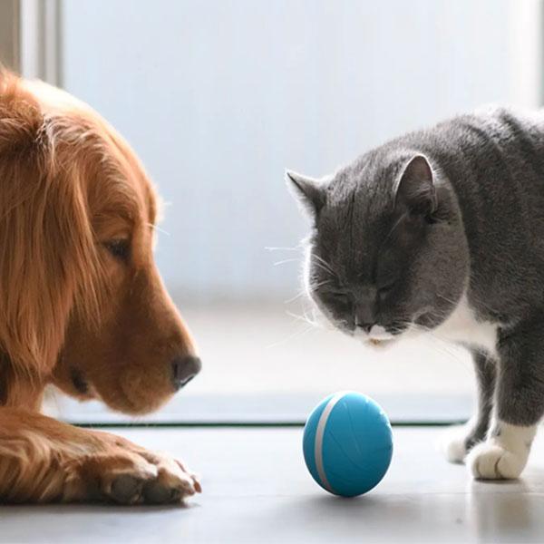 Smart Pet Ball