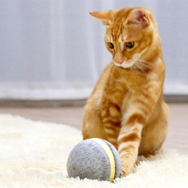 Smart Pet Ball