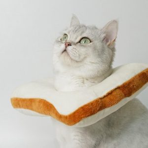 Bread Shaped Pet Collar - Toast Cat Adjustable Collar Wound Healing
