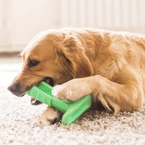 Dog Toothbrush Toy - Dog Oral Care Stick Helps Prevent Gum Disease