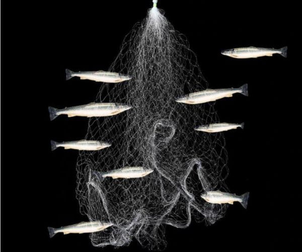Eruptive Fish Hook Net