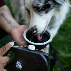 Multi-Functional Dog Leash With Water Bottle Bowl & Waste Bag Dispenser