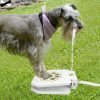 Pet Dog Water Fountain