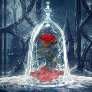 Immortal Enchanted Bell Rose Led Glass Display