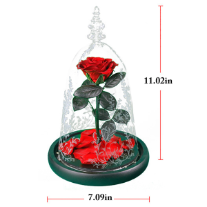 Immortal Enchanted Bell Rose Led Glass Display