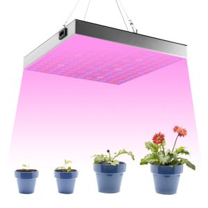 3000W Led Plants Grow Light Full Spectrum Indoor Veg Flower Lamp Hydroponic