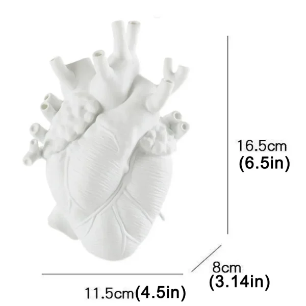 Heart Vase Dry Pot Art Vase Human Statue Vase Container Simulated Anatomy Heart Vase Decorative Valentine's Day Christmas Gift