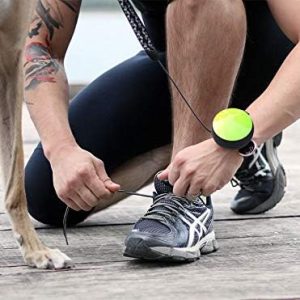 Releash Retractable Dog Leash - Dog Walking Leash - Pet Training Jogging Hiking - 9 Foot Cord - Hands Leash For Running Dog - Extendable Dog Leash - Comfort Grip Dog Leash - Under 66Lbs (Green)