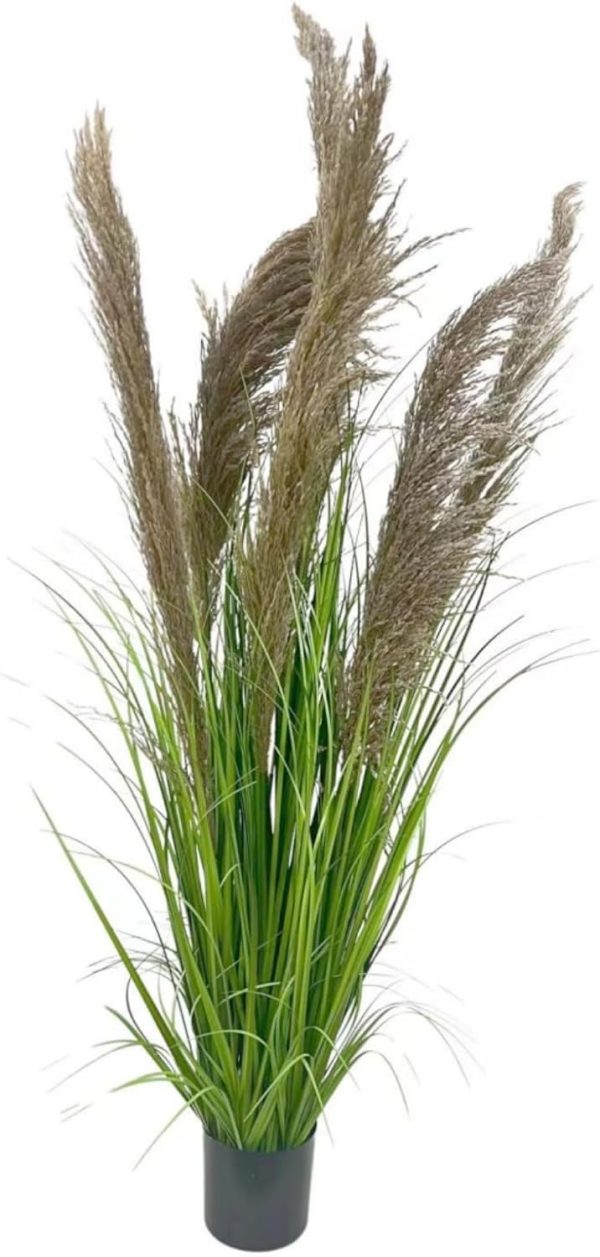Ecoforest 47" (4Ft,2Pack) Pampas Grass Potted Plants - Artificial Faux Plants Featuring Tall Grass, Grass - Perfect Home Decor For Plant Room Decoration Or As Floor Plants.