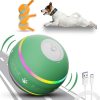 Interactive Dog Ball Toy