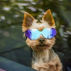Enjoying Dog Sunglasses Small Dog Goggles Anti-Uv Doggy Glasses For Small Dogs Big Cats Impact/Wind/Dust/Fog Proof Puppy Eye Protection, Cute Blue