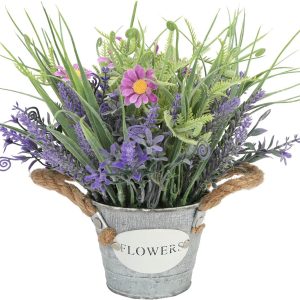 Mixrose Plants Purple Lavender Flowers In Pot 10