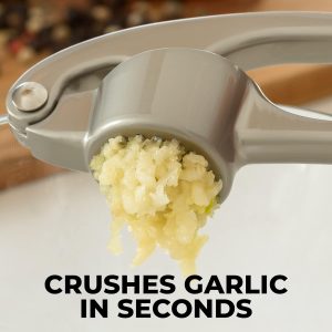 Premium Garlic Press Mincer