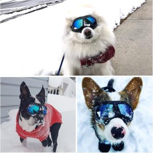 Namsan Dog Goggles Small Breed Uv Dog Sunglasses For Small Medium Dogs Tactical Doggy Glasses Wind/Dust/Fog/Snow Puppy Eye Protection, Wide Snout Rest, Soft Frame, Blue Lens