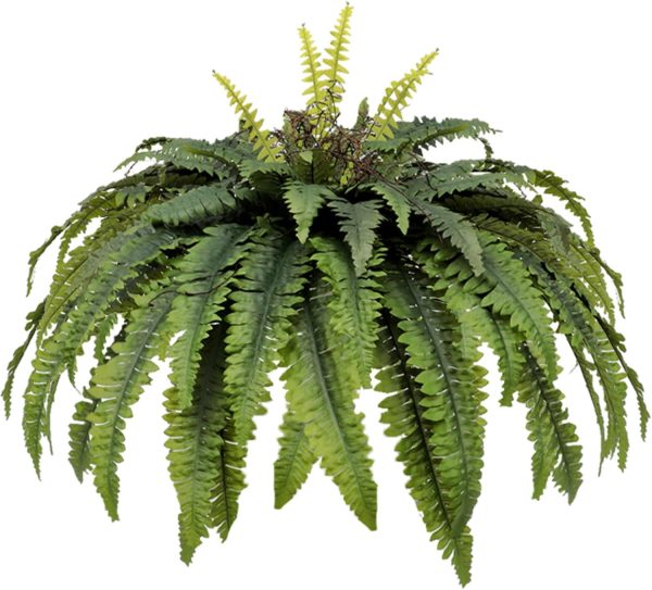 Congfuhepmui Large Artificial Ferns For Outdoor 51" Boston Fern 66 Fronds Faux Ferns Plant Silk Greenery For Indoors Home Garden Porch Windowsill Decor (1 Stem)