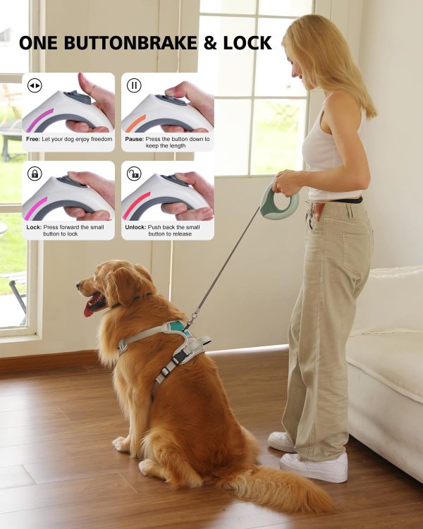 Blanlody Retractable Dog Leash Extendable Strong Leash For Large Medium Small Dogs With Light One-Hand 3M Up To 80Kg, Dog Poop Bag With Dispenser And Collapsible Dog Bowl