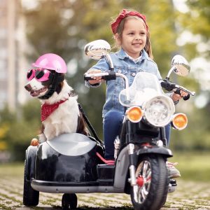 Xuniea 2 Pieces Small Dog Helmet And Goggles Puppy Sunglasses Uv Protection Pet Helmet With Adjustable Belt Dog Motorcycle Hard
