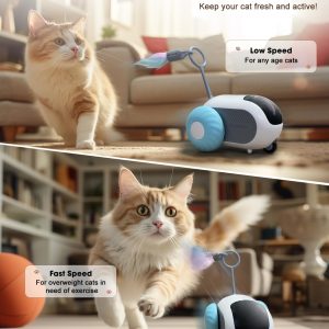 Aiperro Cat Toys For Indoor Cats, Smart Interactive Cat Toy With 2-Speed Adjustment, Remote Control & Usb Rechargeable Automatic Cat Exercise Toys For Bored Indoor Adult Cats Kittens (Blue)