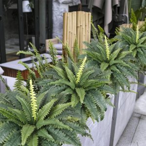 Dremisland Artificial Ferns For Outdoors, Set Of 2 Bouquets 30