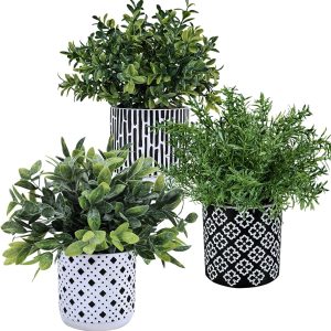 Winlyn 3-Pack Artificial Potted Plants - Faux Eucalyptus, Rosemary, Boxwood Greenery In Small Black & White Geometric Concrete Pots -Desk, Table, Shelf, Windowsill Decor For Indoor Outdoor Home Office