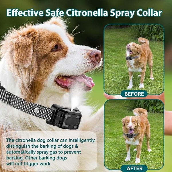 Citronella Bark Collar For Dogs, [No Spray Refill] Spray Dog Training Collar, Humane Citronella Dog Barking Collars, Safer Anti Barking Control Spray Collar For L/M/S Dogs