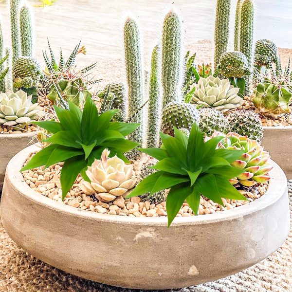 Agusbagli 2Pcs Succulents Plants Artificial Aloe Plant, 14In Large Real Touch Succulents Unpotted Faux Agave Greenery Plants For Diy Home Wedding Garden Office Outdoor Decoration
