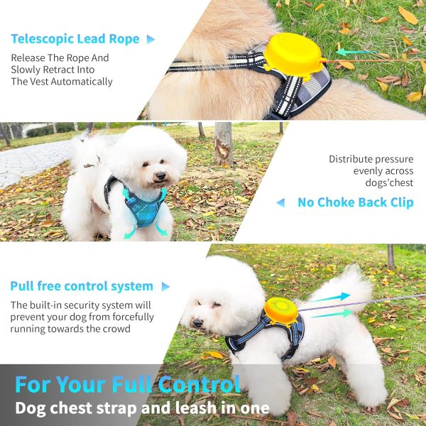 Dog Harness And Leash Set |Dog Vest Harness With 6 Ft Multifunction Retractable Dog Leash | With One-Button Control,One-Handed Brake, Tangle (S)