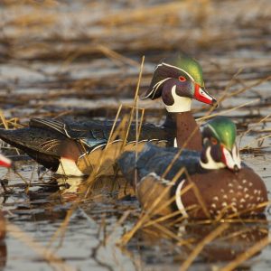 Full Body Motion Wood Duck Decoy 6 Pack