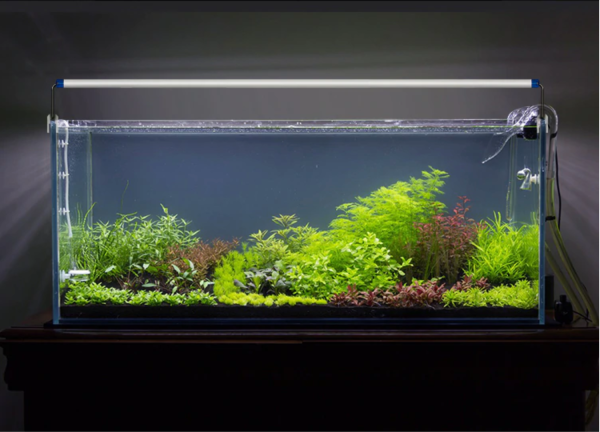 Led Aquarium Fish Tank Light