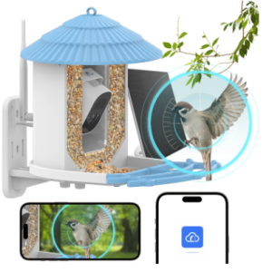 Smart Bird Feeder With 4Mp Camera And Ai Bird Identification