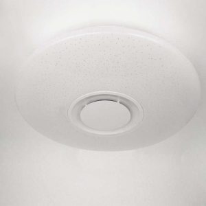 Led Flush Mount Ceiling Modern Light With Music