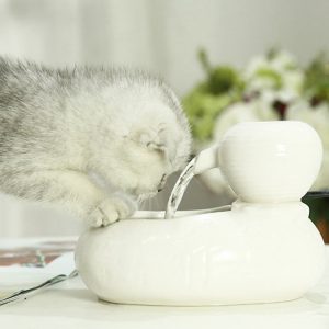 Premium Cat Drinking Water Dispenser Fountain