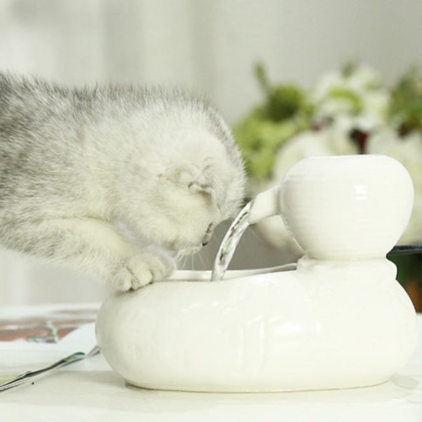 Premium Cat Drinking Water Dispenser Fountain