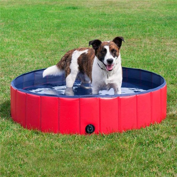 Large Plastic Dog Swimming Pool