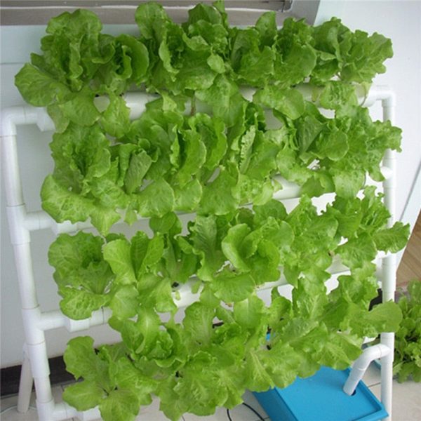 Premium Hydroponic Garden Tower System Setup Kit 36 Sites