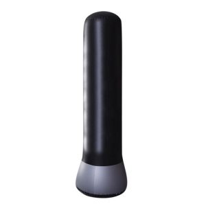 Large Inflatable Standing Punching Bag