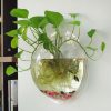 Luxurious Wall Mounted Planter Holder