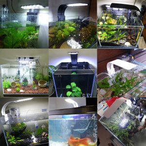 Premium Led Aquarium Fish Tank Light