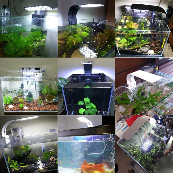 Premium Led Aquarium Fish Tank Light