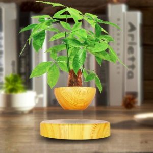 Levitating Magnetic Bonsai Tree Planter Pot