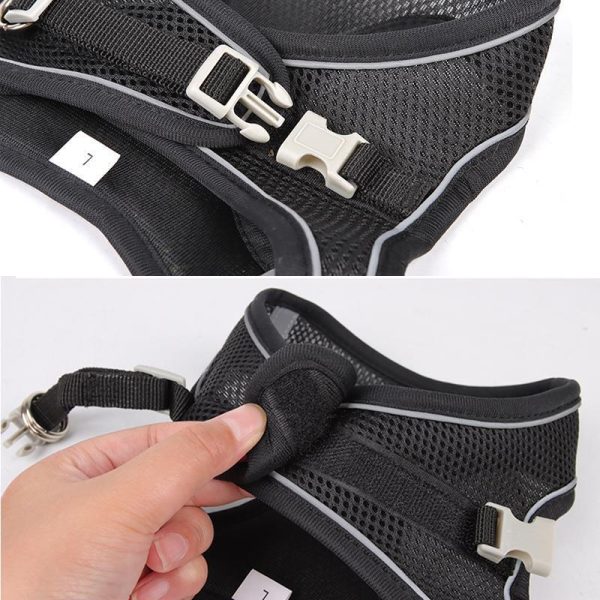 Adjustable Harness And Leash Set For Small Dogs And Cats