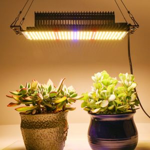 Full Spectrum Indoor Greenhouse Led Grow Lights 300W
